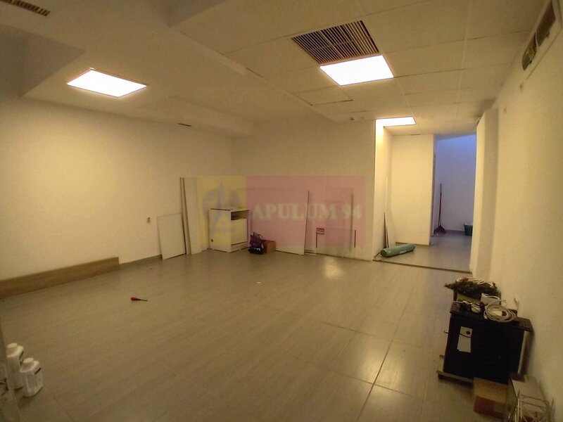 Demisol 106 mp utili – ideal birouri, depozitare sau servicii , Sect 5
